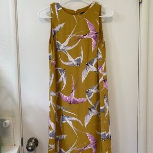 Ann Taylor mustard shift dress with bird print size 0